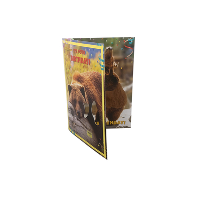 OEM Ses Tebrik Kartları Müzik Sesli CMYK Baskı 210 × 148mm A5 Boyutu